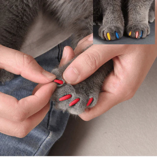 Imported Soft Silicone Nail Caps For Cats (Pack of 20)